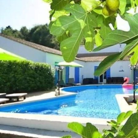 La Villa Du Menhir Gite Bize-Minervois Екстер'єр фото